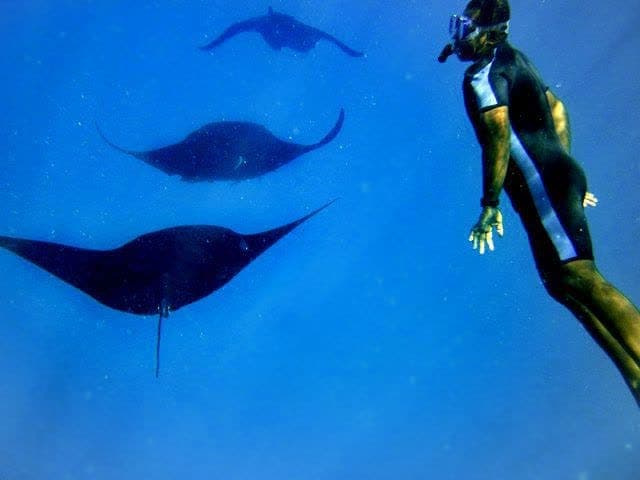 Paradise Cove diving